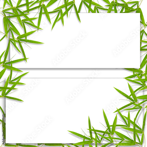 Fototapeta Naklejka Na Ścianę i Meble -  Bamboo leaf and frame background , with blank place for text.