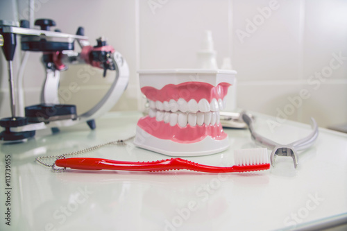 teeth layout for the dentist with a toothbrush. still life on the subject of dentistry and stomatology,     odontology, medicine © de Art