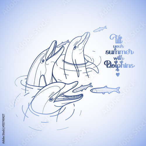 Graphic feeding dolphins