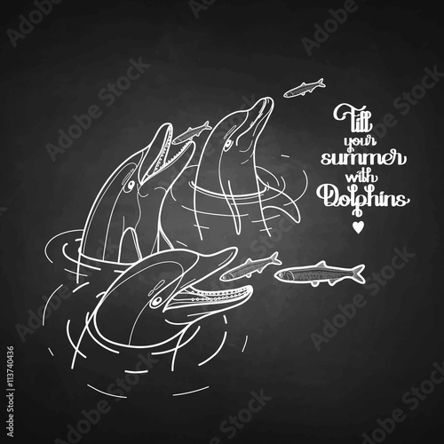 Graphic feeding dolphins