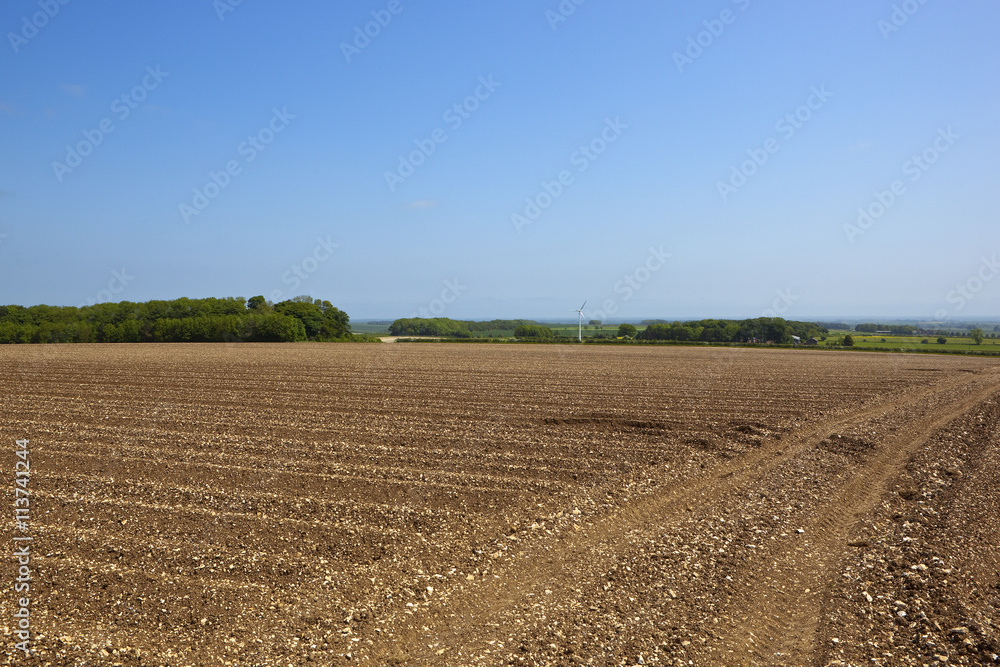 scenic potato field