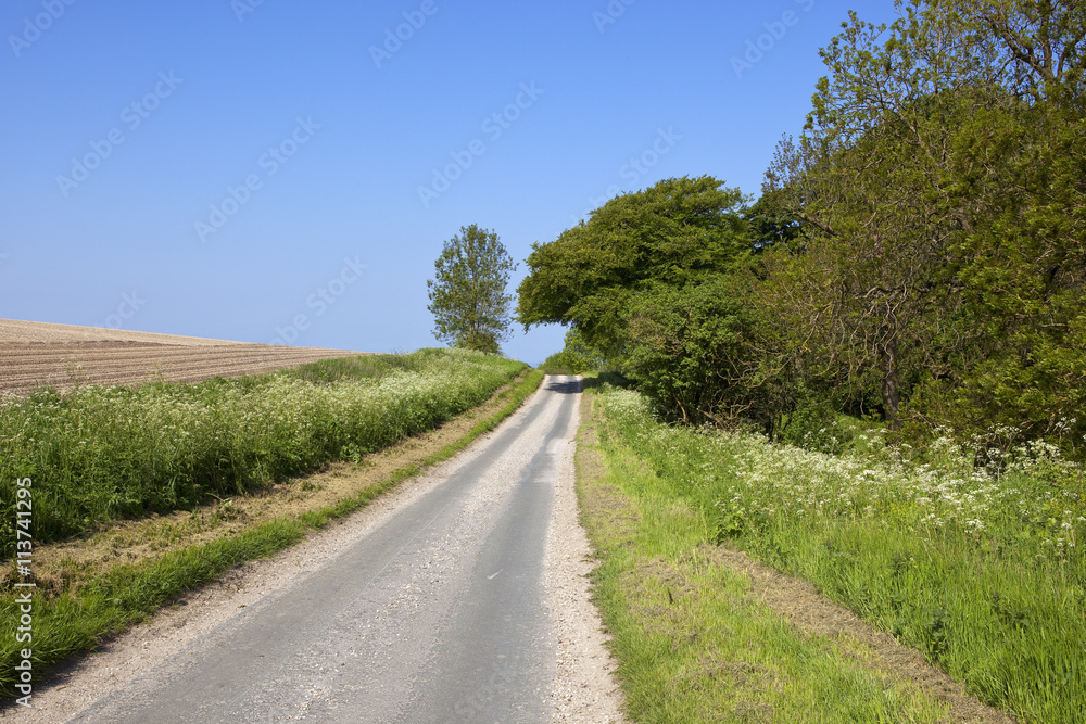 yorkshire wolds road