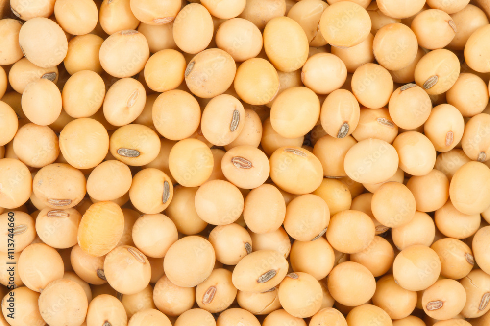 Top view of healthy grains soybean close up Top view of healthy grains soybean close up