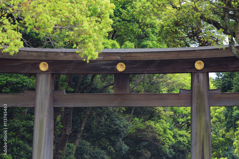 明治神宮 南参道鳥居 -東京の貴重な緑の杜-