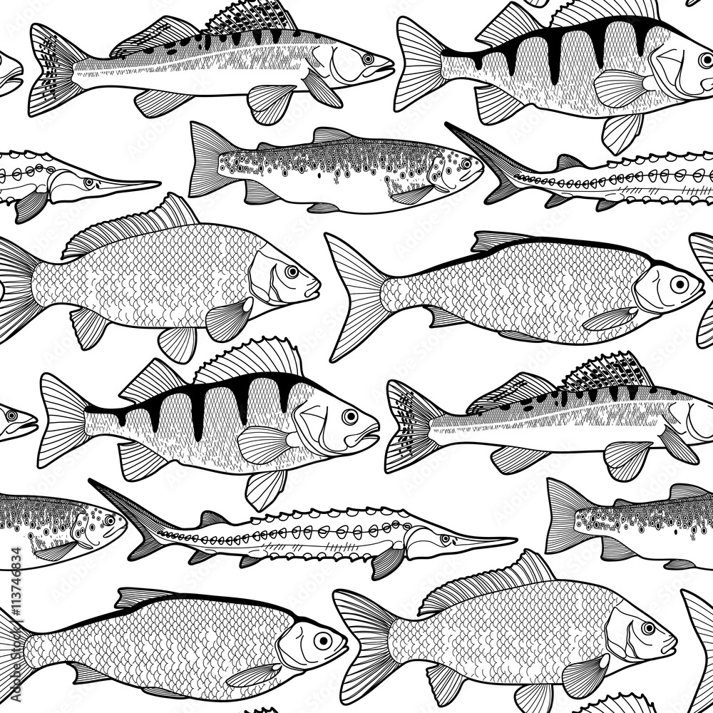 Graphic freshwater fish pattern Stock Vector Adobe Stock