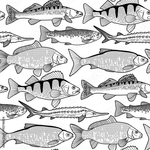 Graphic freshwater fish pattern photo