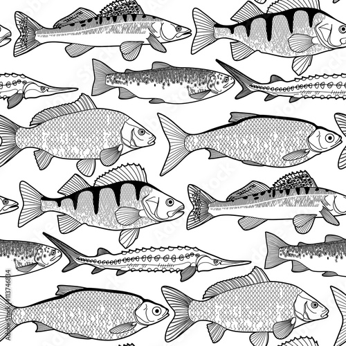 Graphic freshwater fish pattern