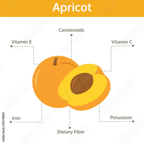 apricot nutrient of facts and health benefits, info graphic