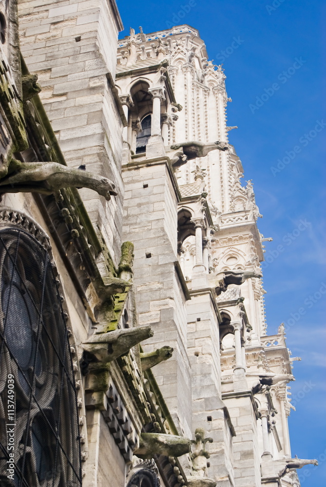 Side facade's details of Notre-Dame of Paris Cathedral