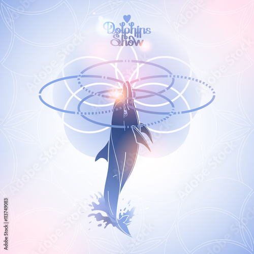 Graphic dolphin with four hoops