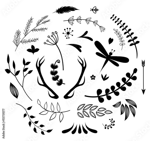 Rustic design elements set vector