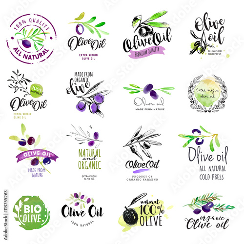 Set of hand drawn watercolor labels and stickers of olive oil. Vector illustrations for olive oil labels, packaging design, natural products, restaurant