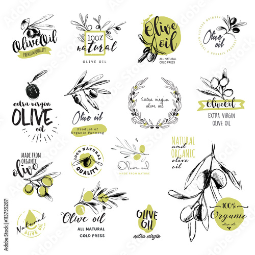Set of hand drawn watercolor stickers and badges of olive oil. Vector illustrations for olive oil labels, packaging design, natural products, restaurant