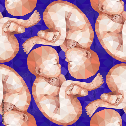 Low poly fetus