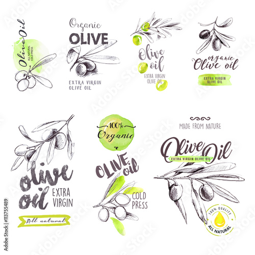 Set of hand drawn watercolor labels and signs of olive oil. Vector illustrations for olive oil labels, packaging design, natural products, restaurant
