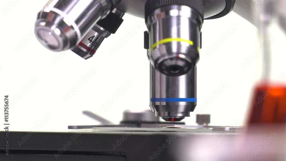settings elements of a microscope settings elements of a microscope