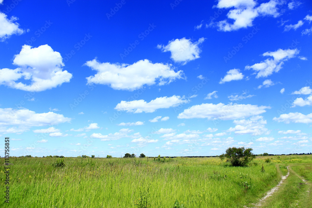 summer landscape with field country road and clouds
