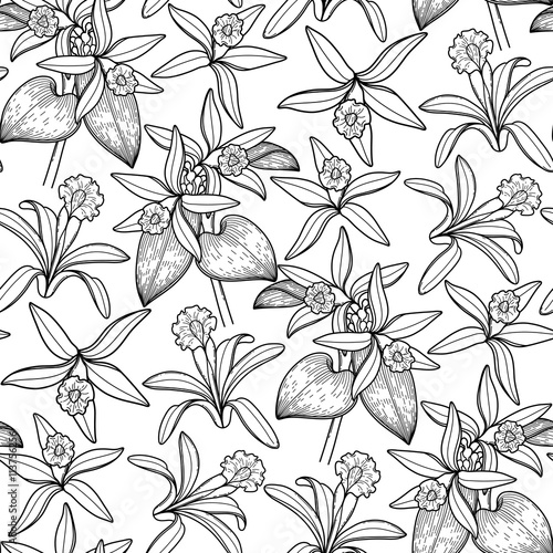 Graphic vanilla pattern