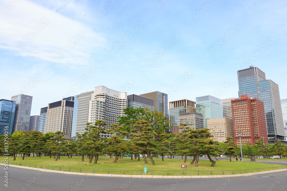 東京丸の内 ビル群 -都市風景- 東京丸の内 ビル群 -都市風景-