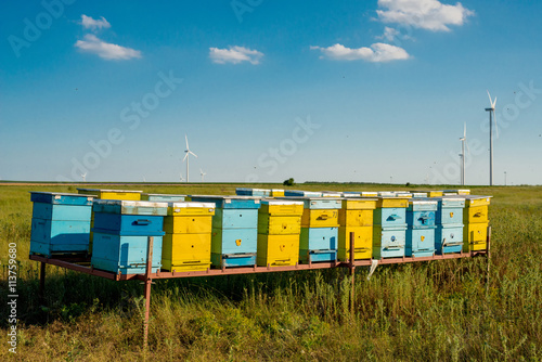 beehives in the field