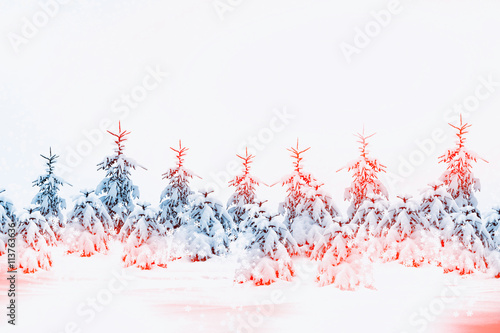Winter forest. Winter landscape. Snow covered trees