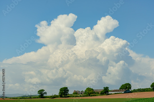 Cumulus clouds