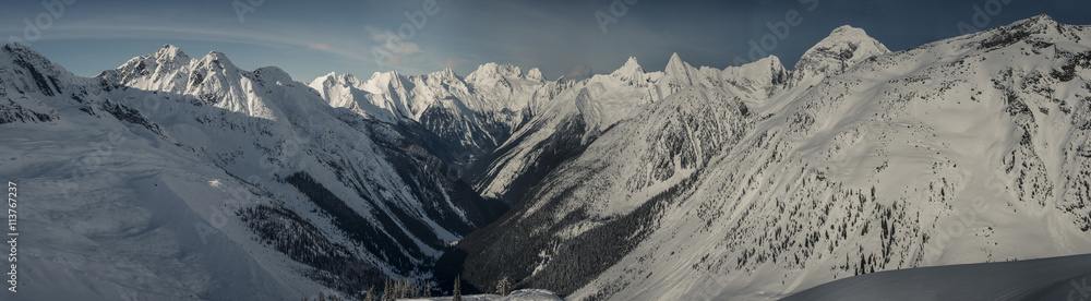 panorama shot of winter wonderland