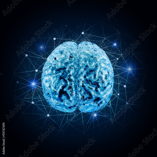 conceptual model of brain