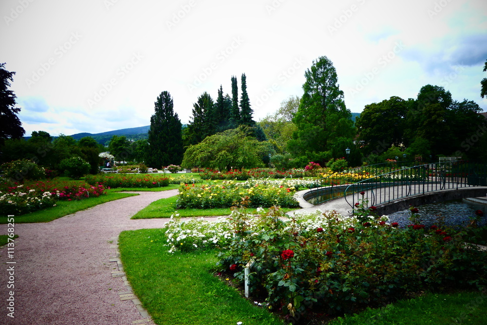 Fototapeta premium Rosengarten