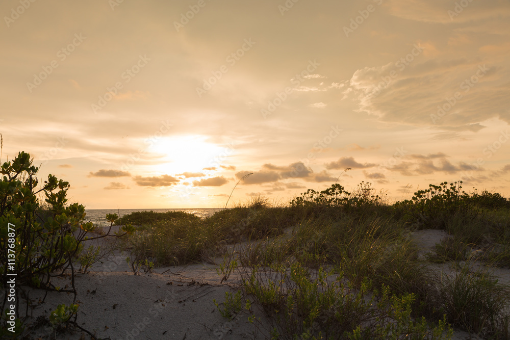 Obraz premium Florida coast sunset