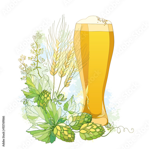 Vector glass of froth beer with ornate Hops and barley ears in pastel isolated on white. Contour hops, barley for Oktoberfest, beer and brewery decor. Beer elements in contour style for brewery design