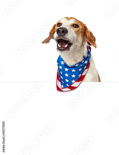 Fototapeta Naklejka Na Ścianę i Meble -  Talking American Patriotic Dog With Banner