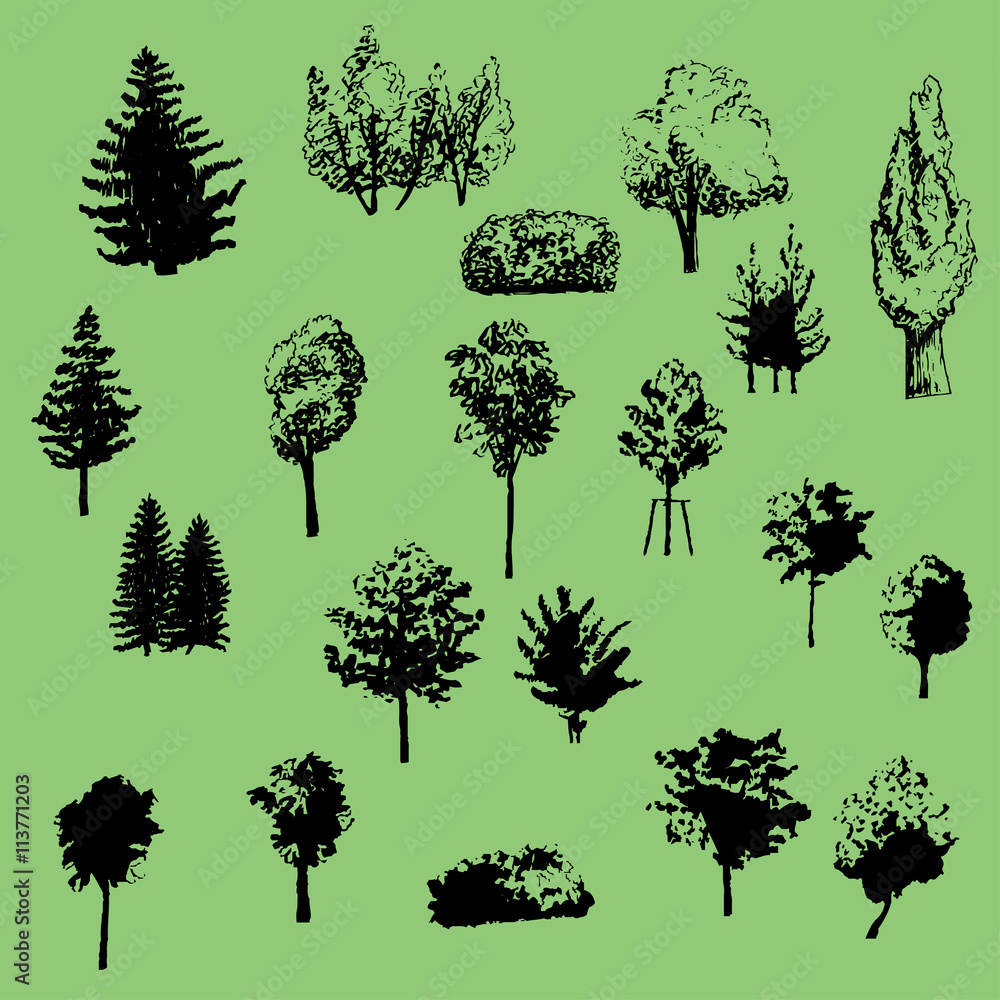 Fototapeta premium large set of vector silhouettes of trees