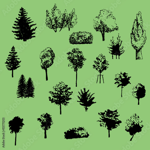 large set of vector silhouettes of trees