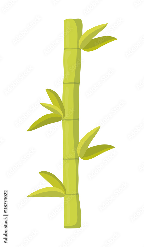 Naklejka premium Bamboo design. Bamboo and leaf icon. vector graphic