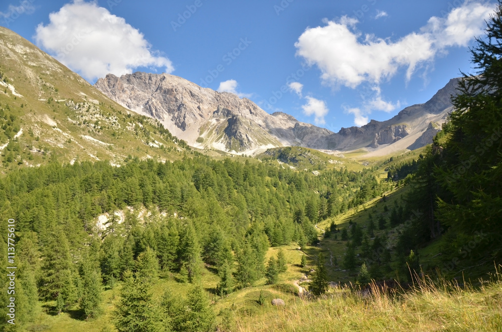 Fototapeta premium Paysage du PNR Queyras (Hautes-Alpes)