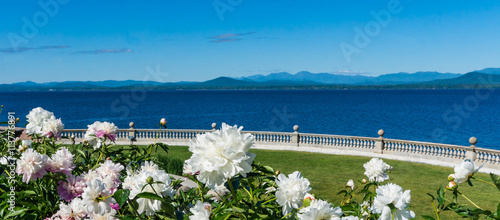 perennial garden with spring flowers blooming offering a view to the lake and mountains
