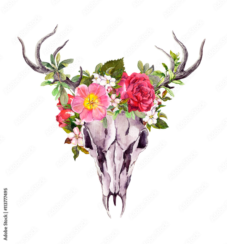 Obraz Deer animal skull with flowers. Watercolor