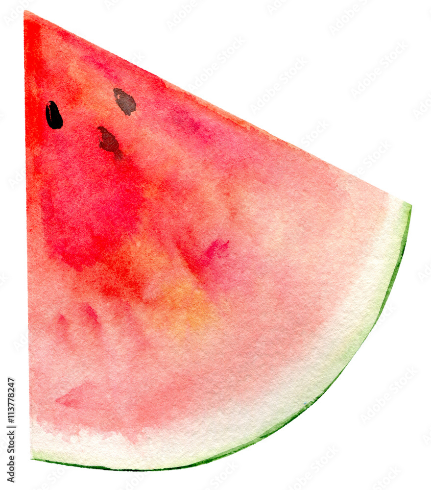watercolor hand painted slice of watermelon Stock Illustration | Adobe ...
