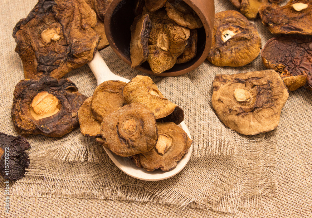 Dried mushrooms on canvas Dried mushrooms on canvas