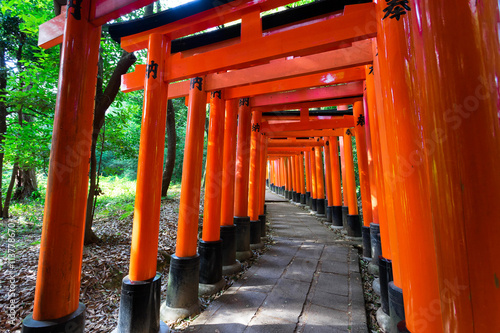 Bright red Torii in shinto shrine, Kyoto