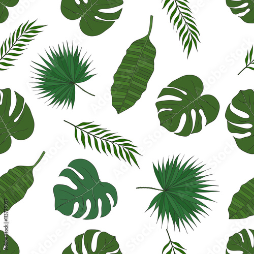 The leaves of the tropical palm trees. Pattern.