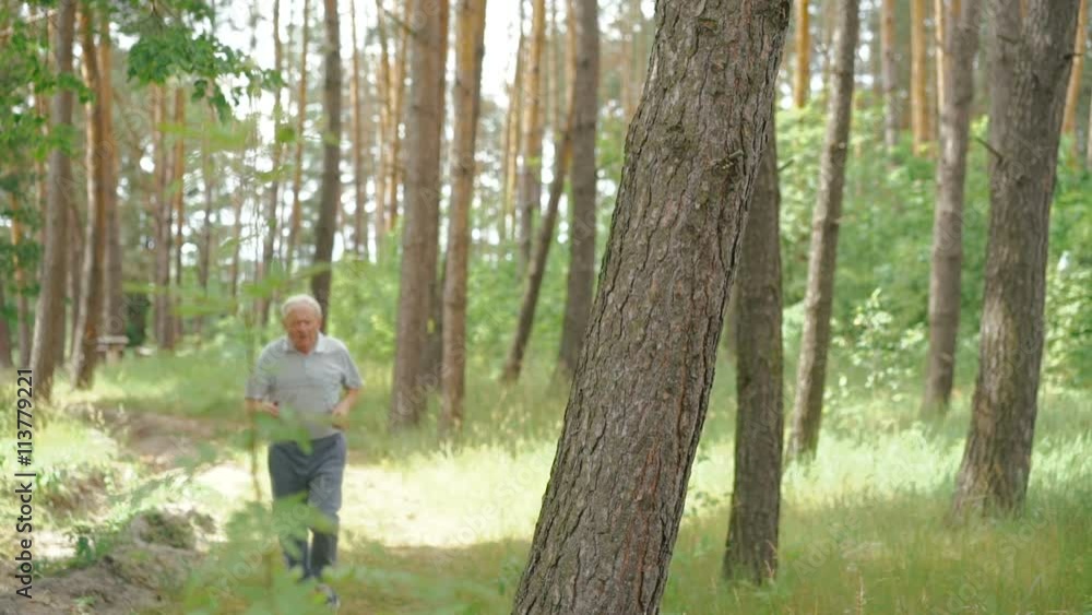 Old man running outdoors in a coniferous forest nature Old man running outdoors in a coniferous forest nature
