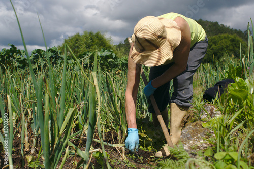 Mujer trabajando en el campo