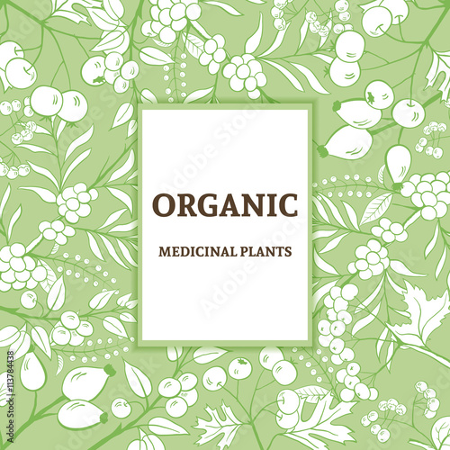 Background with handdrawn herbs. Decorative frame. Vintage style