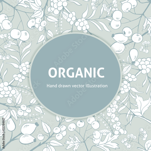 Background with handdrawn herbs. Decorative frame. Vintage style