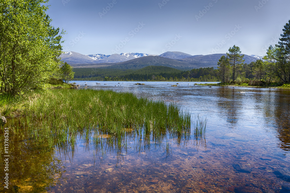 Naklejka premium The clear waters of Loch Morlich, Scotland. The Cairngorm mountains in the background.
