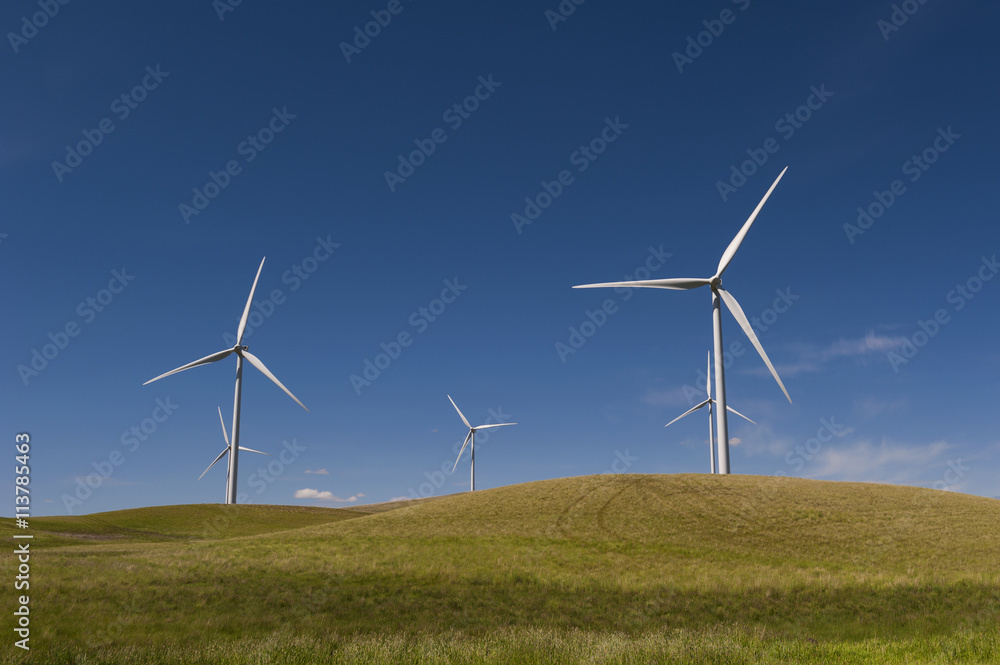 Palouse Wind Farm. Palouse Wind is a 105 megawatt wind farm located in northern Whitman County. Wind has emerged as the country’s fastest-growing source of new energy. Palouse Wind Farm. Palouse Wind is a 105 megawatt wind farm located in northern Whitman County. Wind has emerged as the country’s fastest-growing source of new energy.