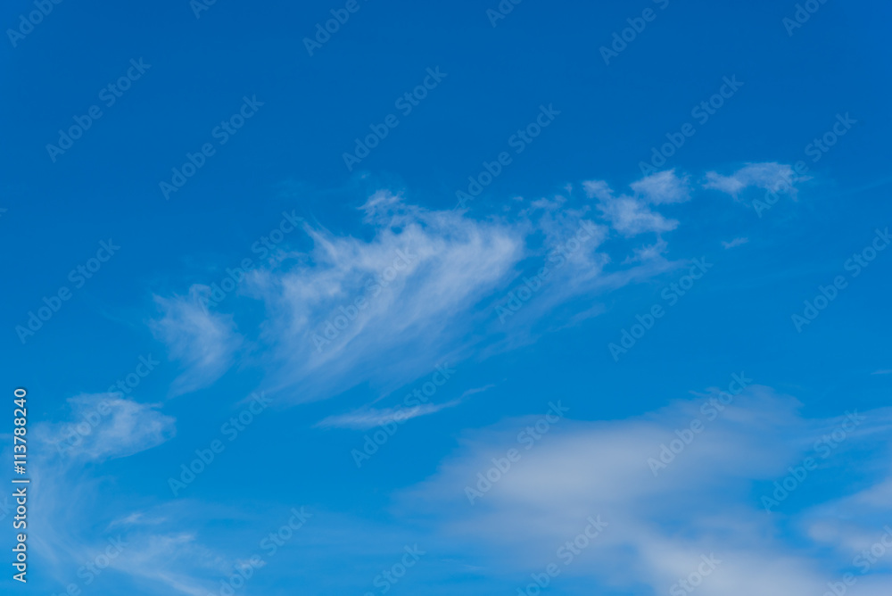 Obraz premium Blue sky with fluffy clouds fluffy