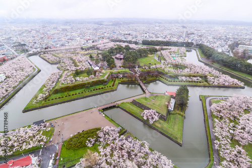 Goryokaku Park Top view  where is star of building for protect c photo